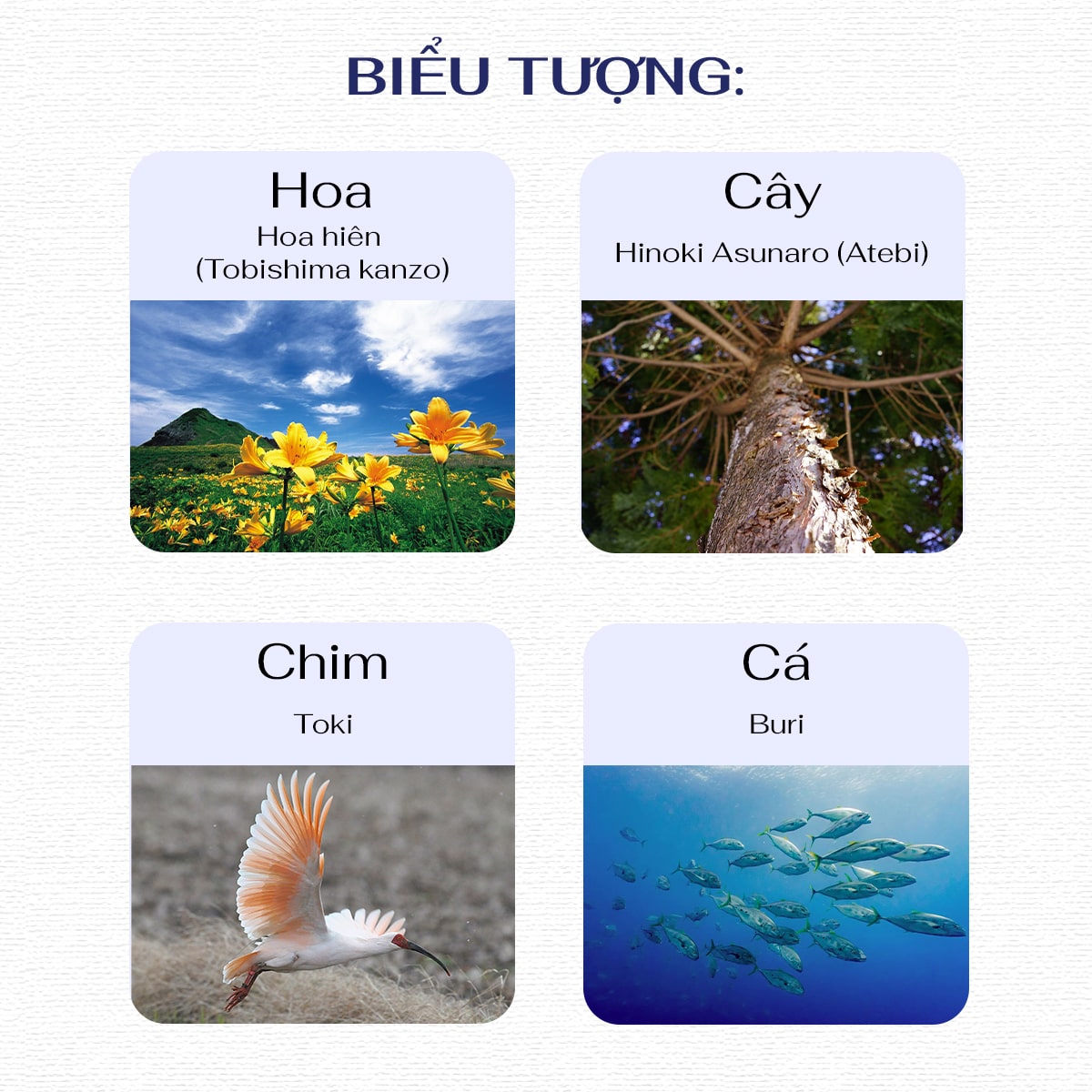 Biểu tượng đảo Sado